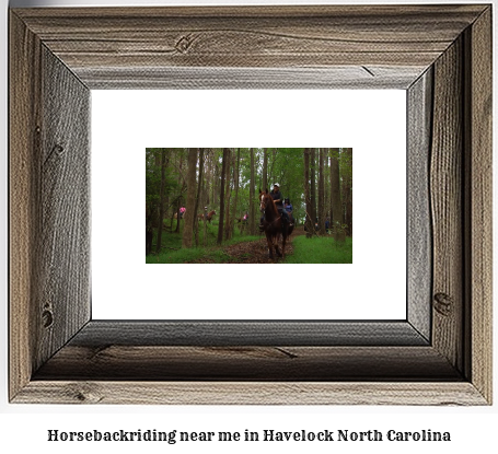 horseback riding near me in Havelock, North Carolina